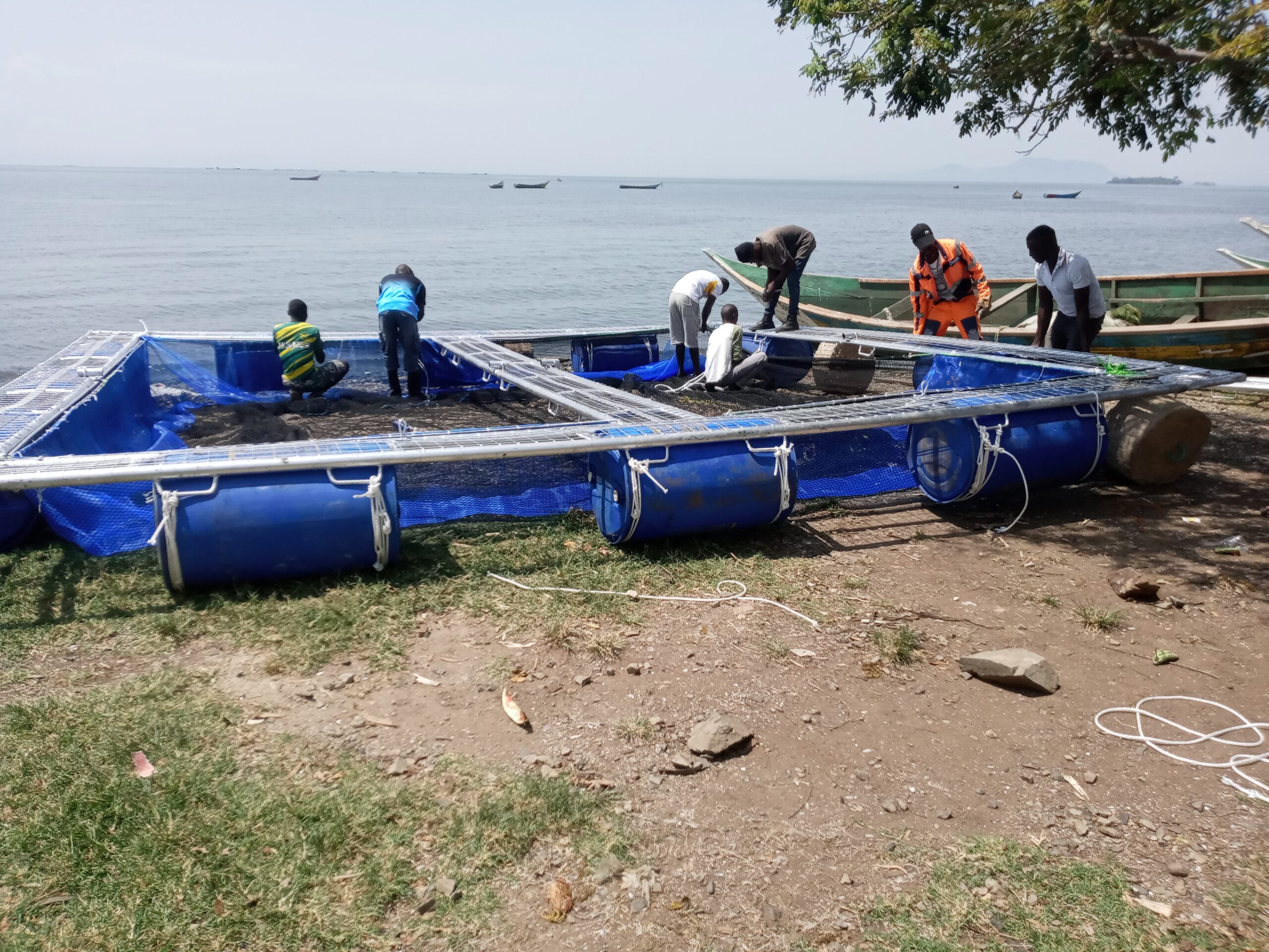 Aquaculture Training & Consultancy