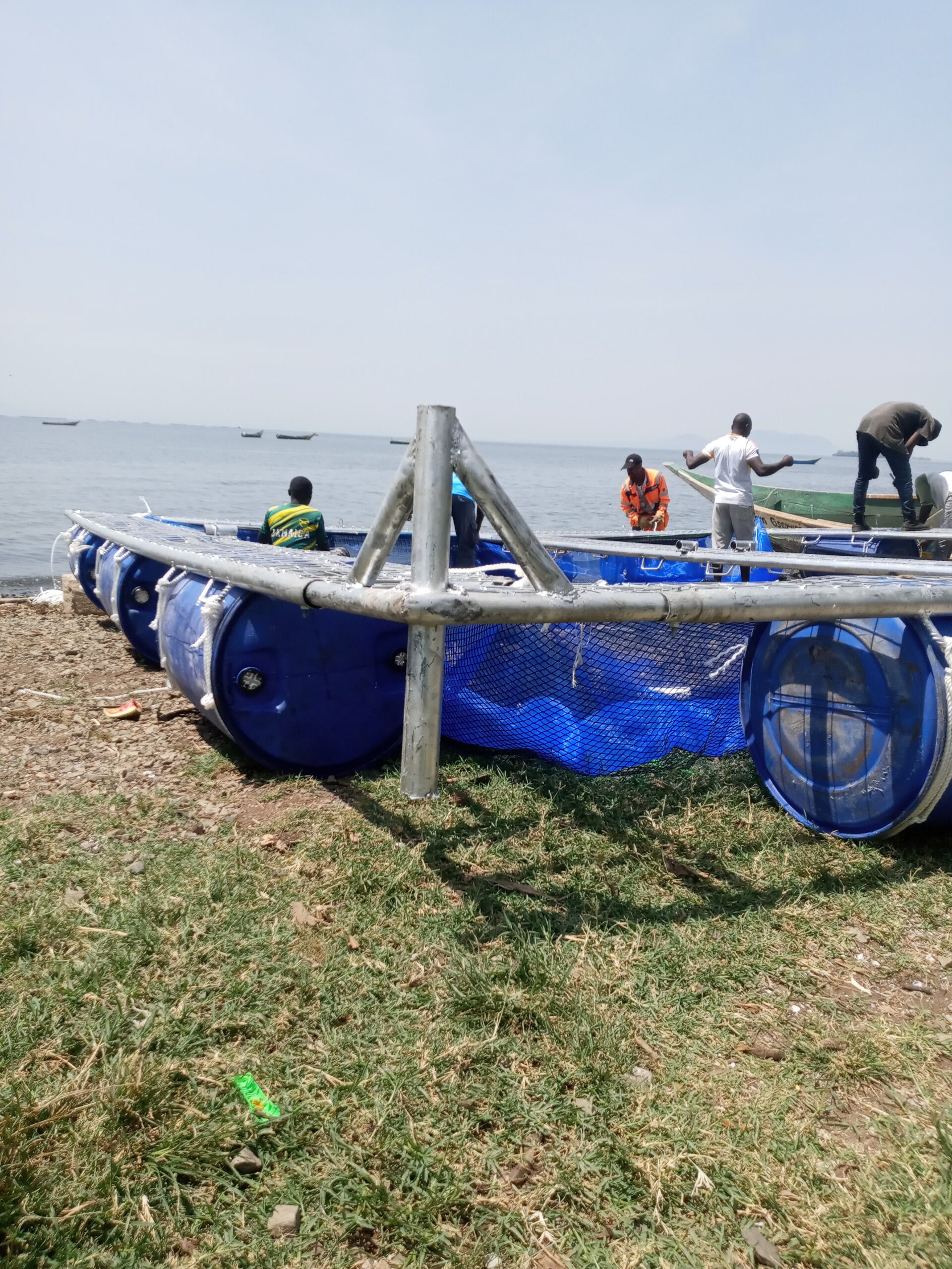 Professional Cage Installation & Maintenance Services