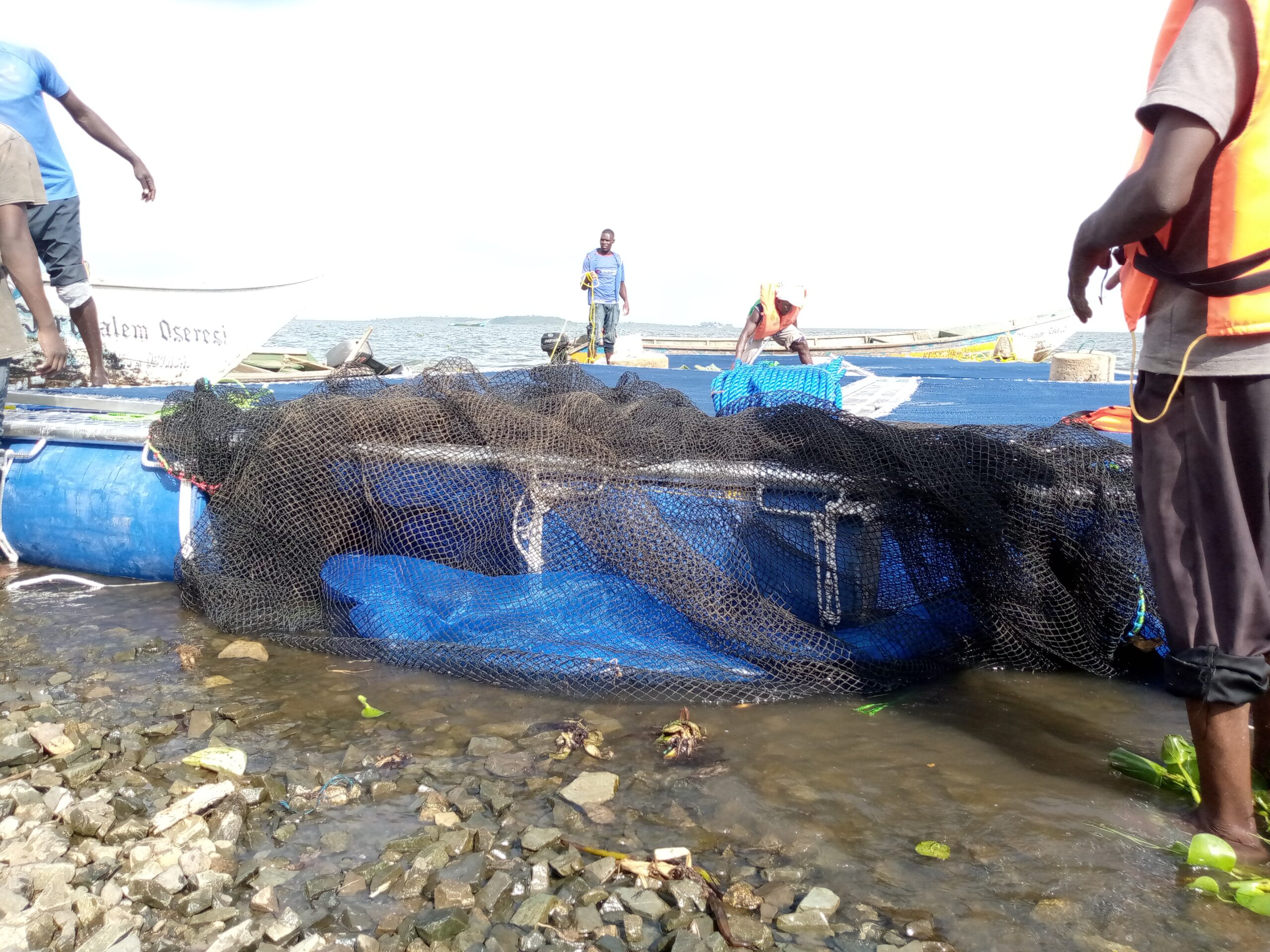 Affordable Fish Cage Leasing for Every Farmer