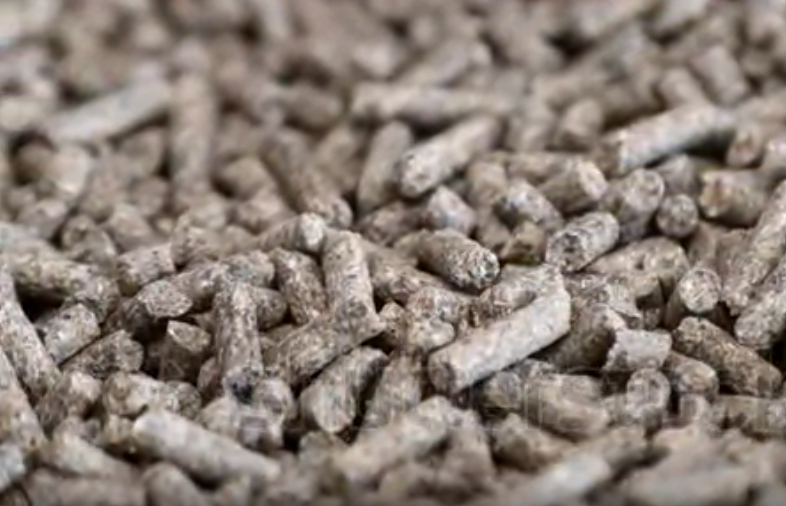 Nutrient-Rich Fish Feeds That Maximize Growth